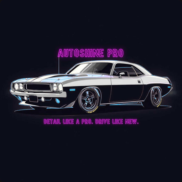 AutoShine Pro